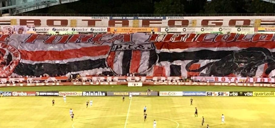 torcida botafogo