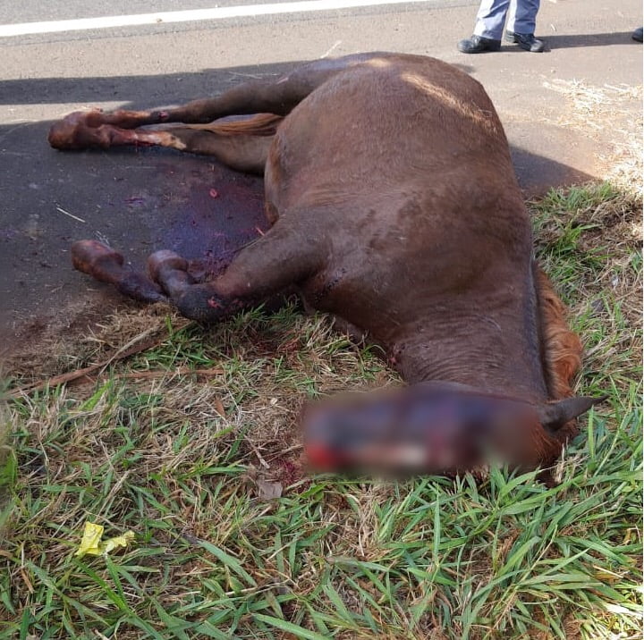 F0175AF8-136B-42DD-A41F-BFD8B356B0AA