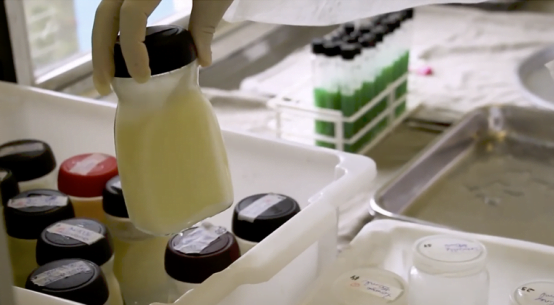 20190510_01_leite-materno-554x305