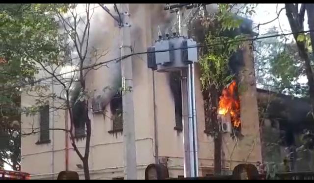 WhatsApp Image 2020-06-02 at 09.49.05