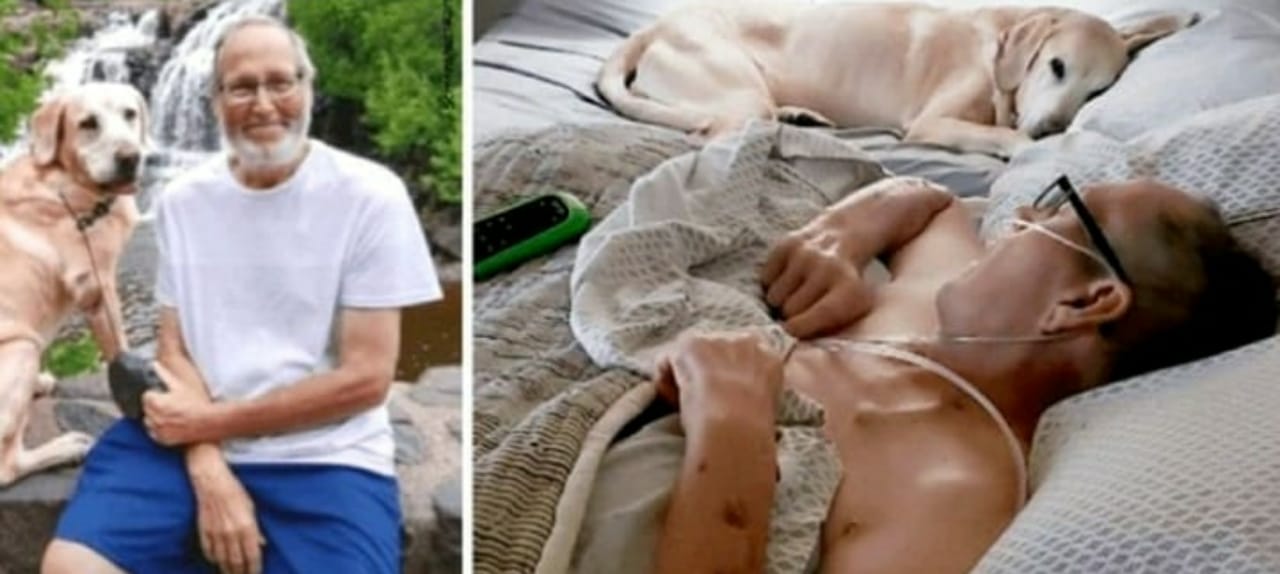 cao morre uma hora depois