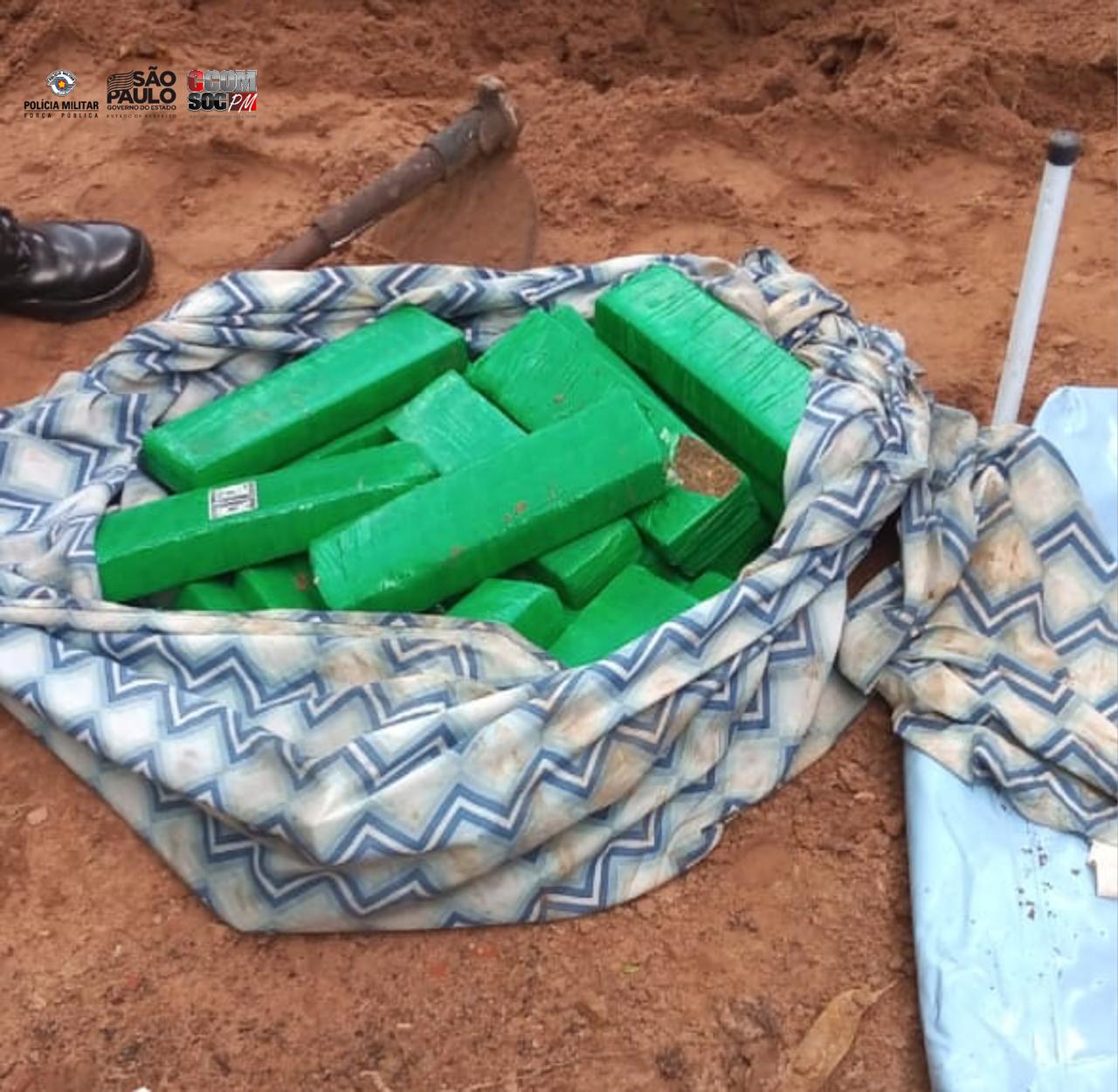 maconha chacara sao carlos