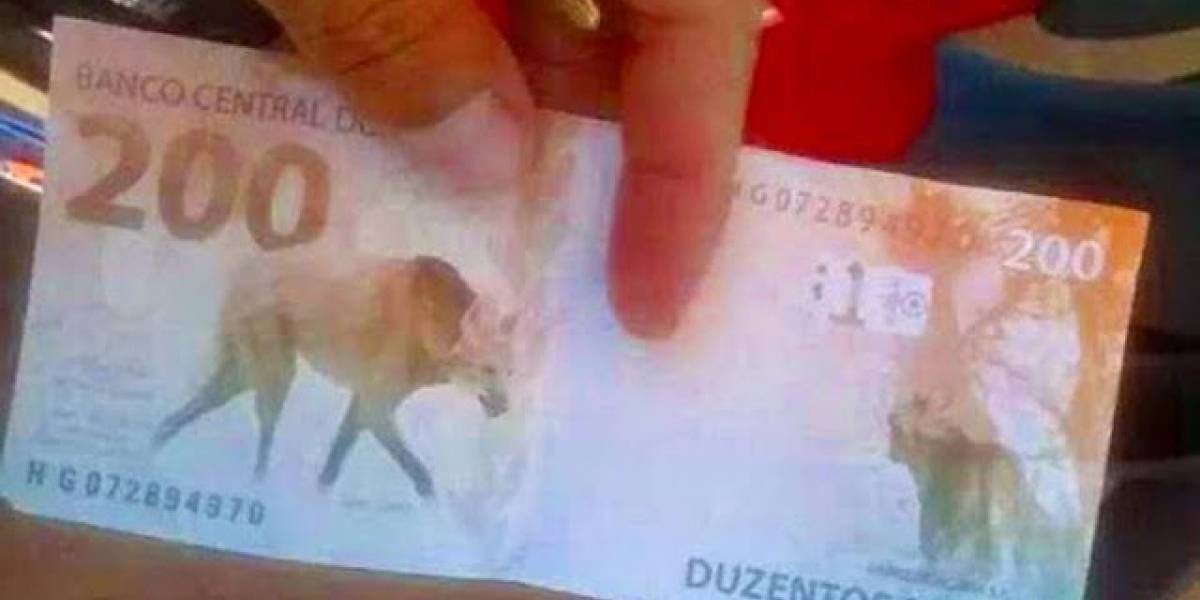 200-412f076dcaa6b58b2cc3c530ca2d640e-1200x600