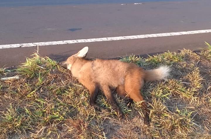 WhatsApp Image 2020-09-03 at 10.43.50