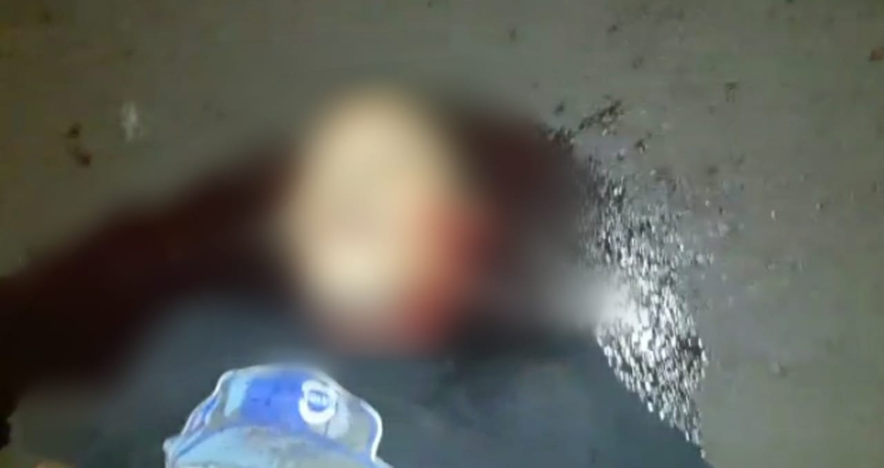 golpes de podao sertz