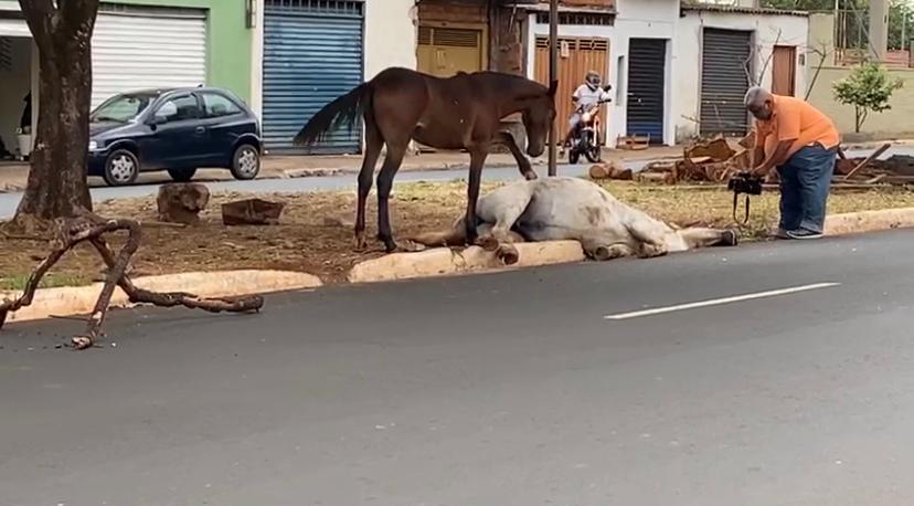 WhatsApp Image 2020-10-16 at 12.18.29