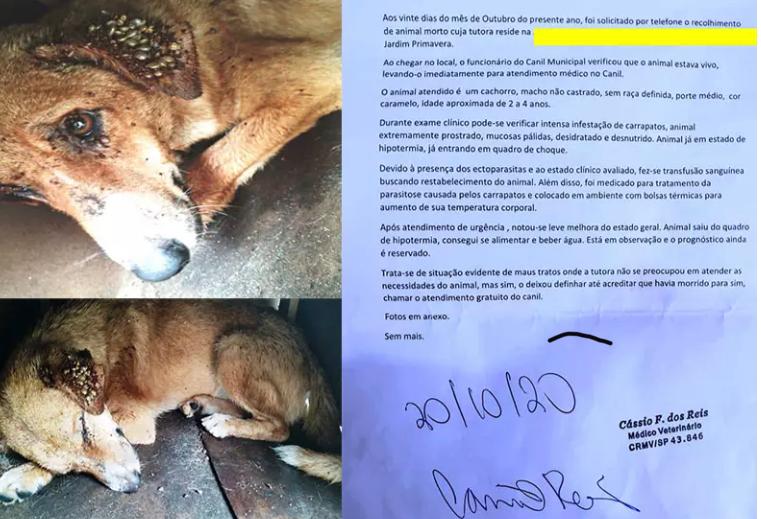 WhatsApp Image 2020-10-23 at 10.43.18