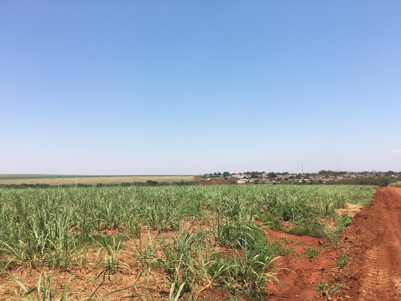 WhatsApp Image 2020-11-08 at 13.28.00