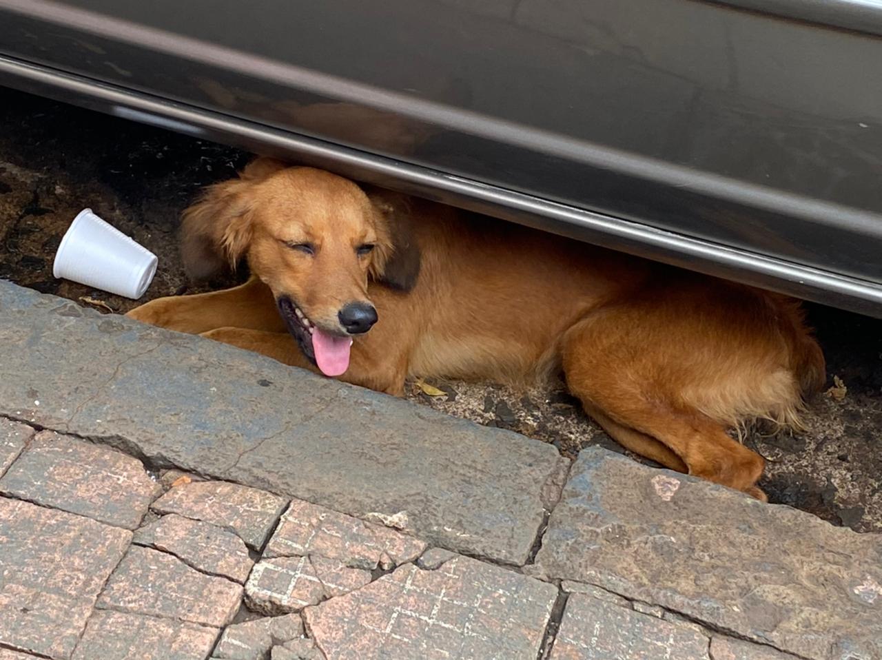 WhatsApp Image 2021-02-15 at 08.31.13