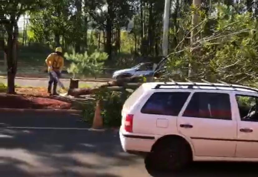 WhatsApp Image 2021-03-30 at 10.44.15