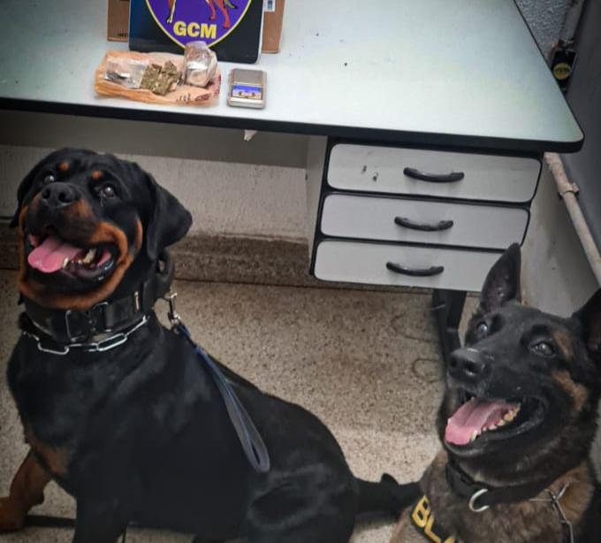 WhatsApp Image 2021-05-12 at 10.45.33