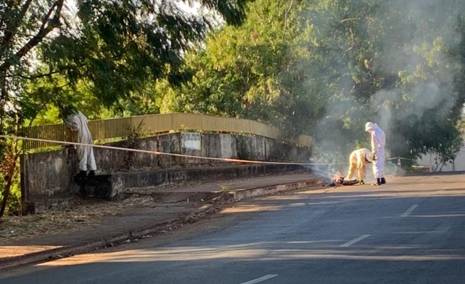 WhatsApp Image 2021-05-27 at 08.27.17