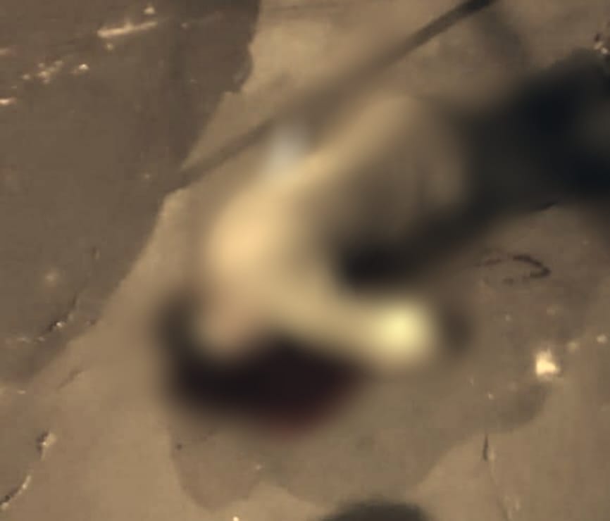 WhatsApp Image 2021-05-28 at 10.12.56