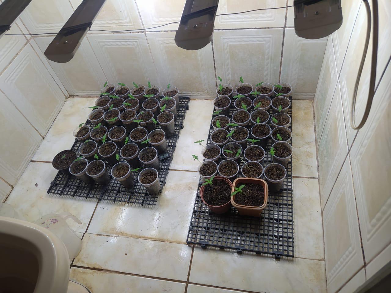 WhatsApp Image 2021-09-12 at 11.27.19