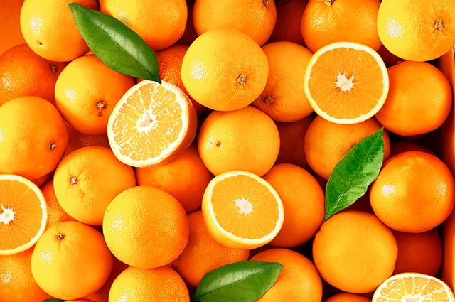 Cultivo de laranja abriu mais vagas em 2023