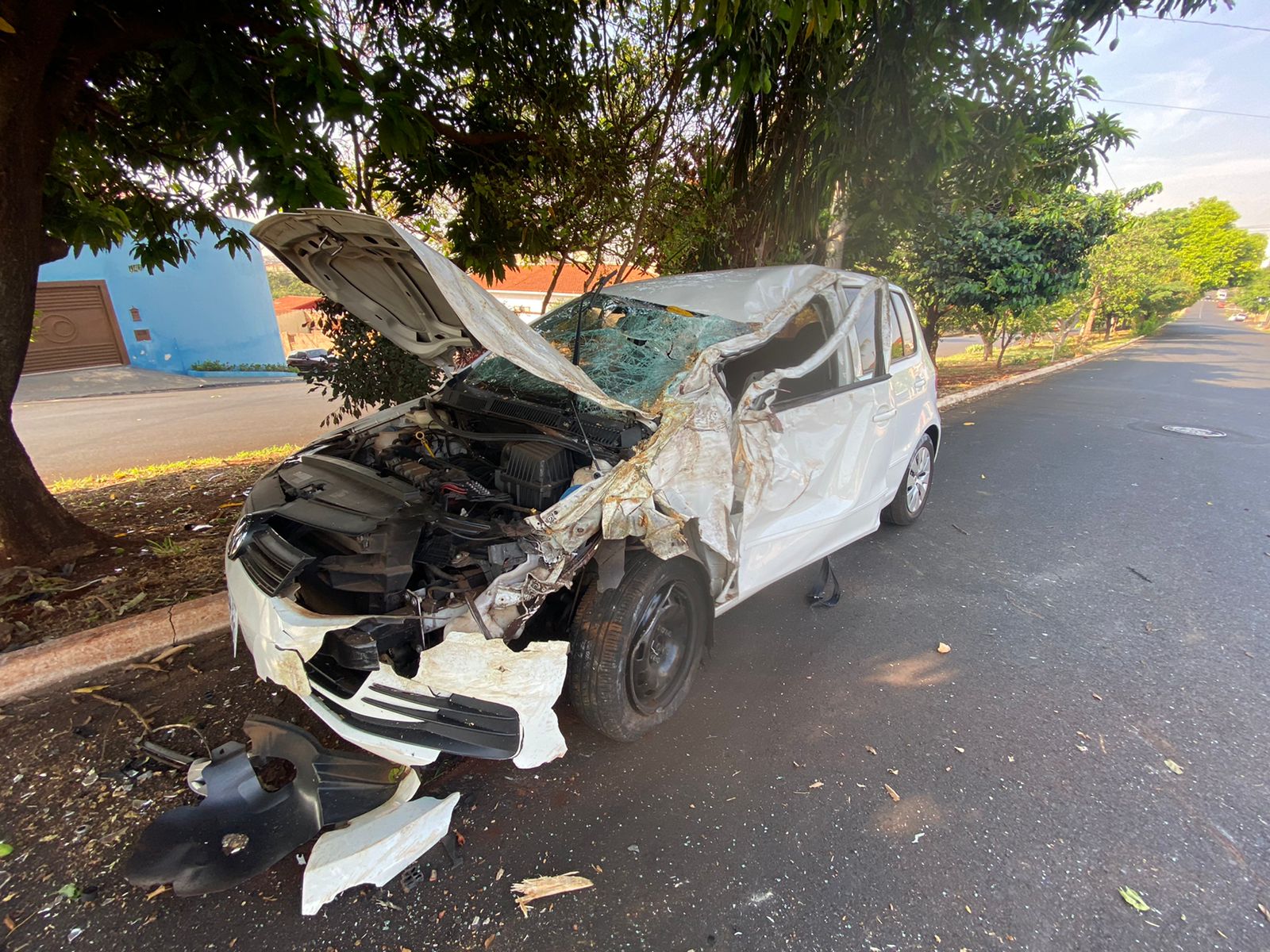 WhatsApp Image 2021-10-01 at 07.56.15