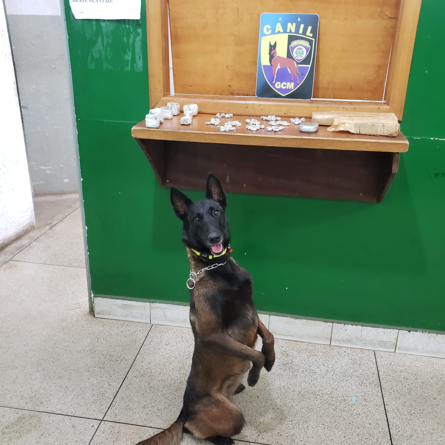 WhatsApp Image 2021-10-08 at 20.25.22