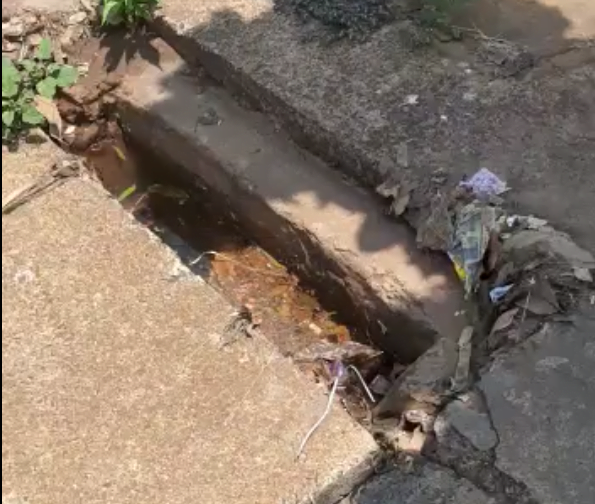 imagem_2021-10-05_152020