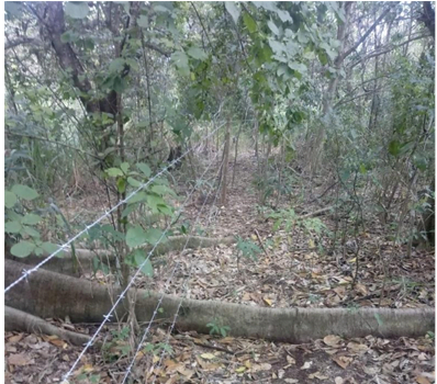 imagem_2021-10-15_142634