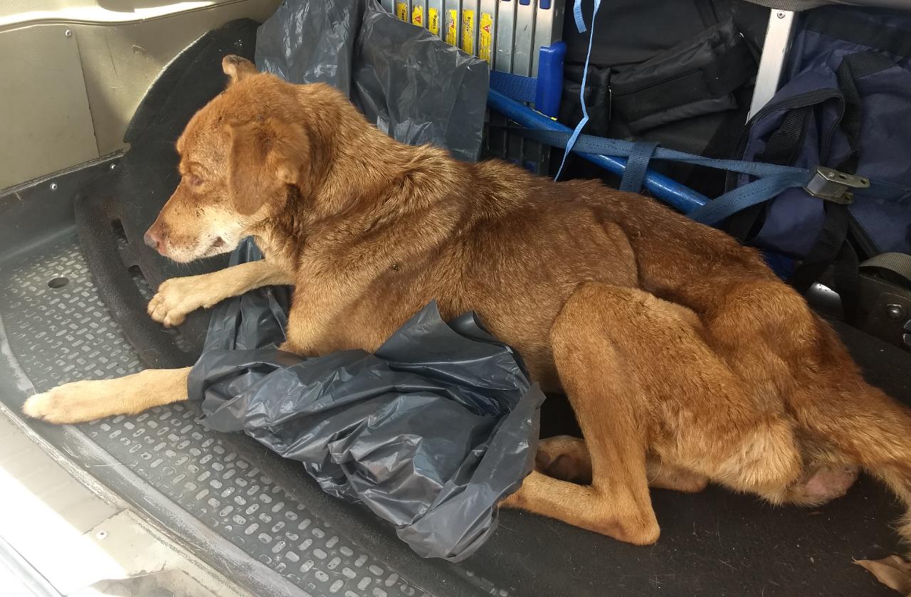 WhatsApp Image 2021-11-01 at 13.36.07