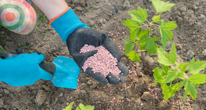 fertilizantes plantio banco de imagens
