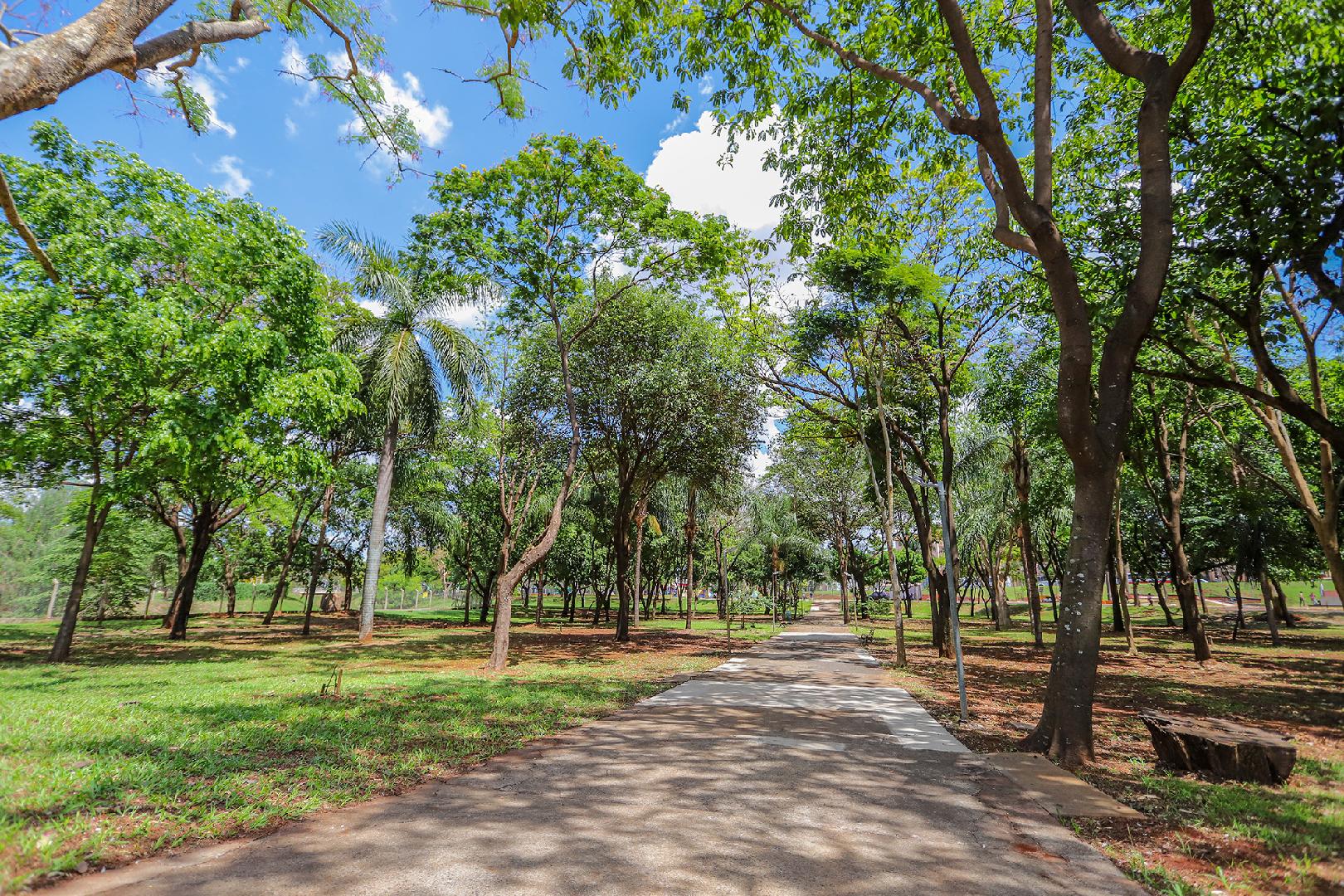 Prefeitura de Campinas reabre os bosques Yitzhak Rabin, no Jardim Madalena,  e Chico Mendes, no Parque S&atilde;o Quirino - Thmais