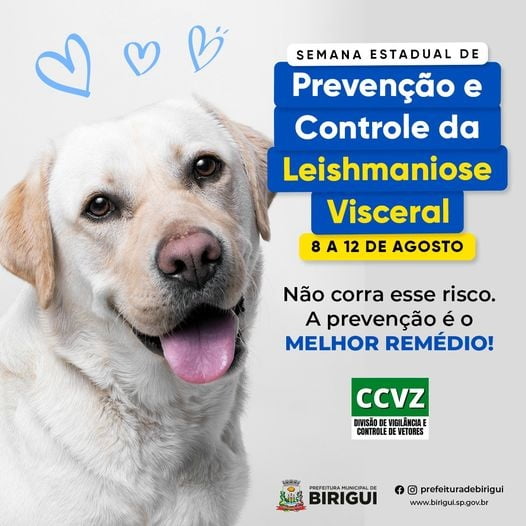 Semana de prevenção
