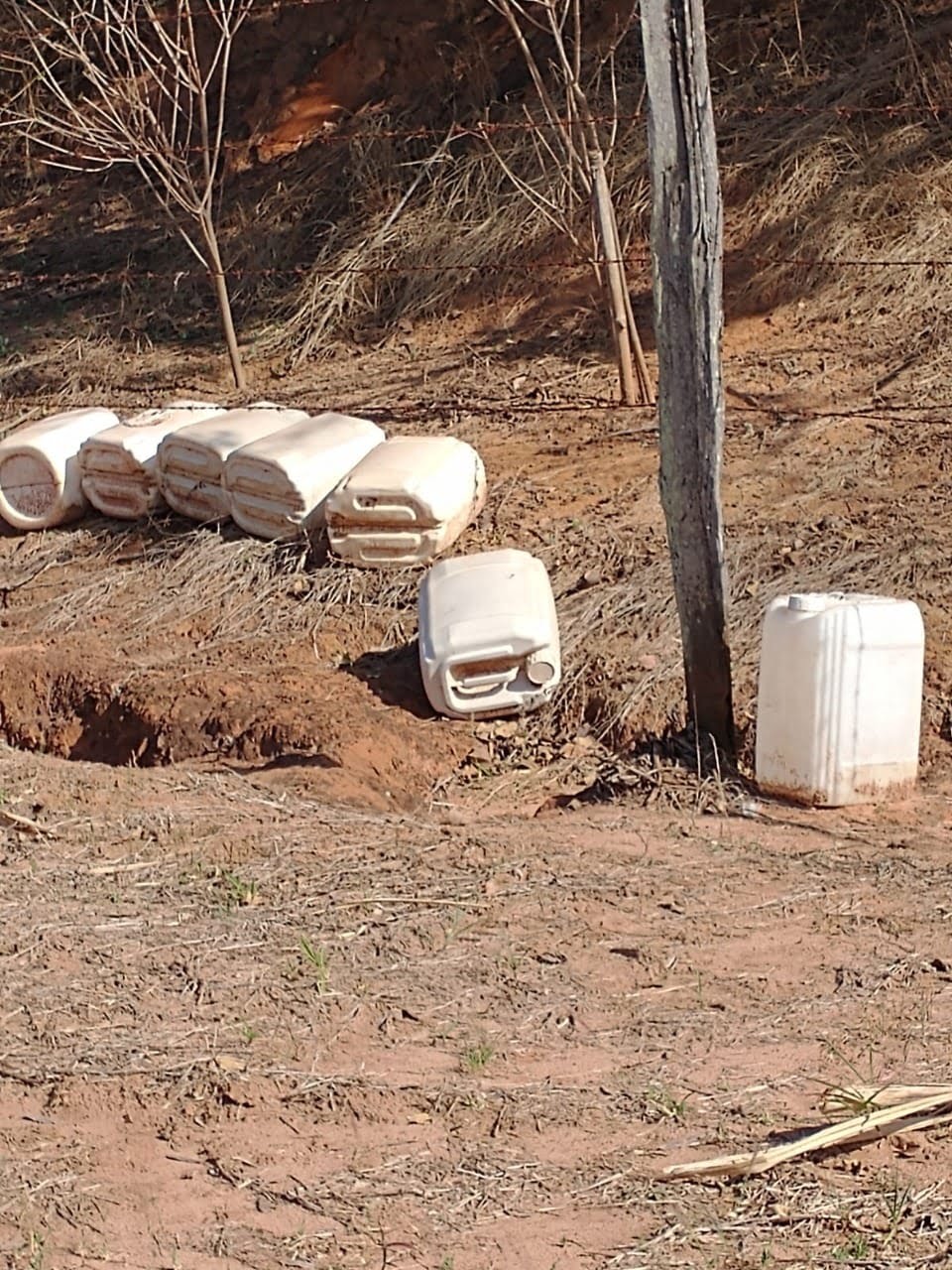 descarte de agrotóxicos em Araçatuba