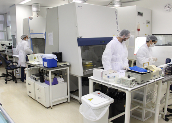 Hemocentro RP Urgente: chamada para doadores do tipo O- no GSH Banco de Sangue de Ribeirão Preto