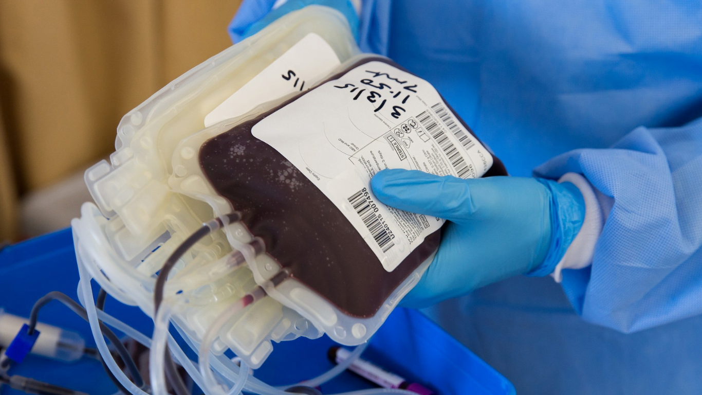 Hemocentro de Ribeirão precisa de doadores de sangue O Negativo com urgência