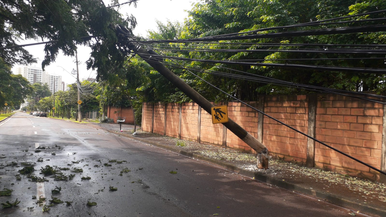 WhatsApp Image 2023-03-14 at 14.19.10