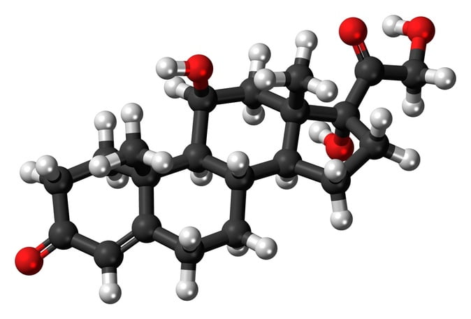 cortisol Molécula de hidrocortisona | Foto: reprodução