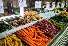 Foto: REYNALDO GRACA LOPES/SHUTTERSTOCK Foto: REYNALDO GRACA LOPES/SHUTTERSTOCK