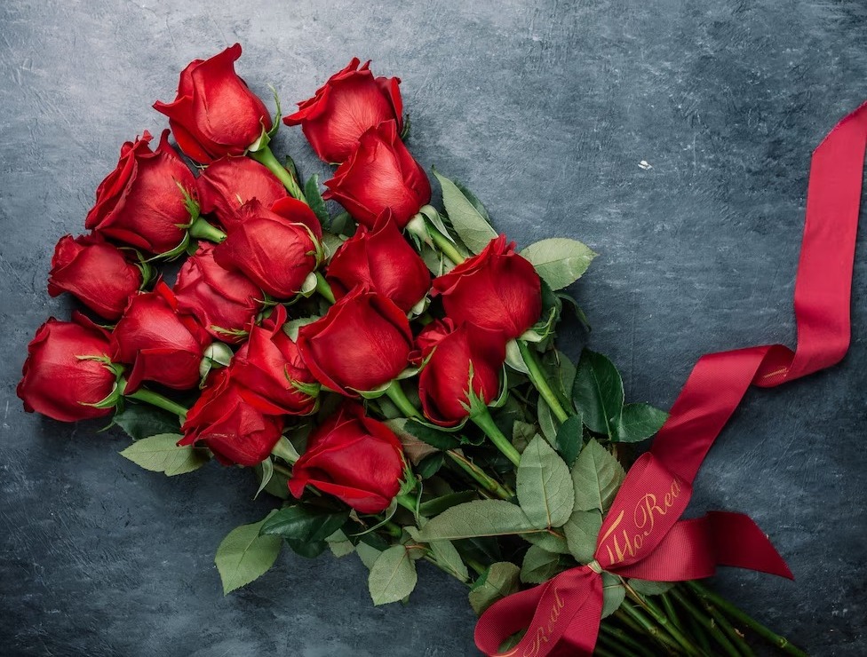 WhatsApp Image 2023-05-18 at 14.49.56