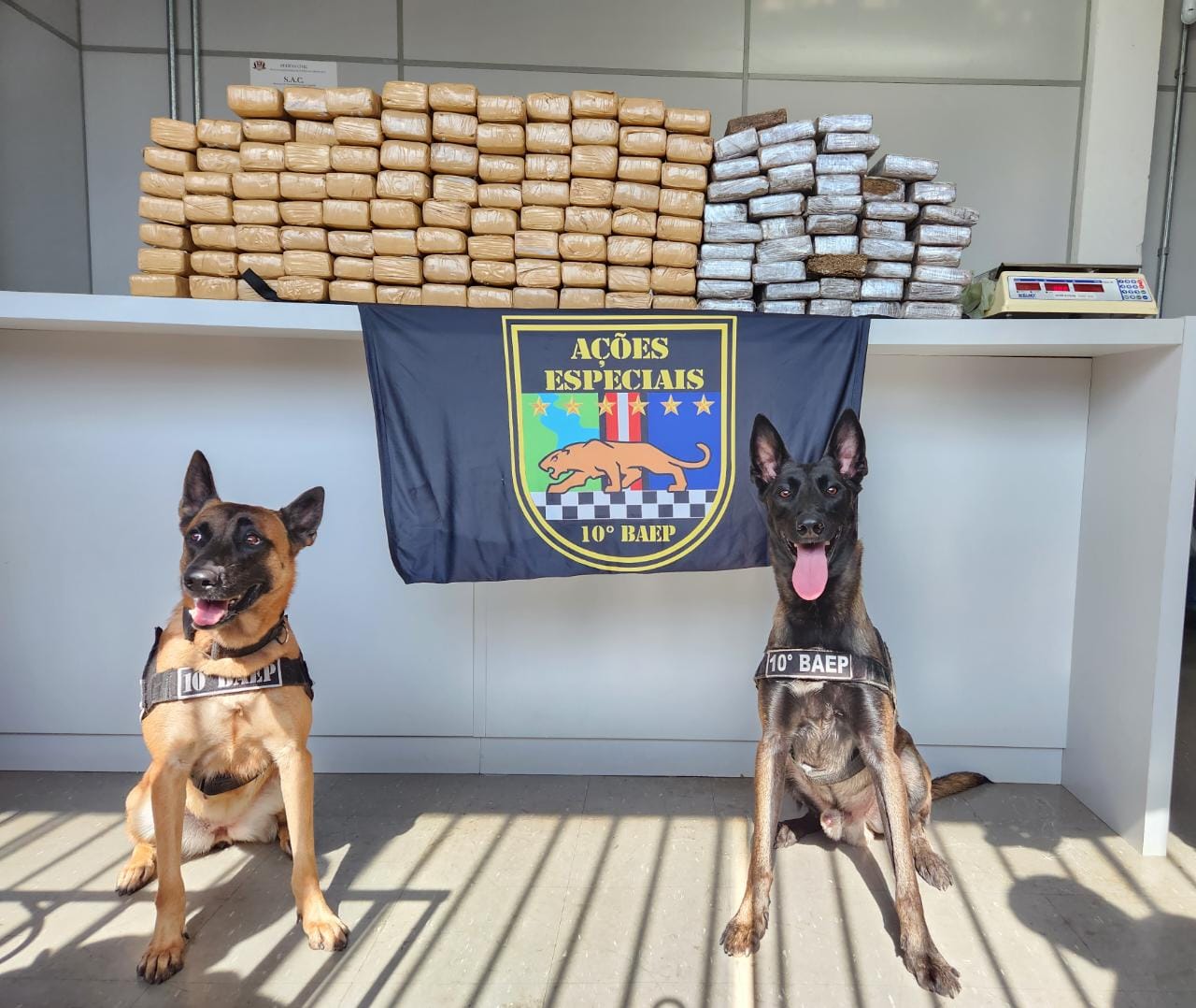 WhatsApp-Image-2023-05-23-at-13.08.14-1