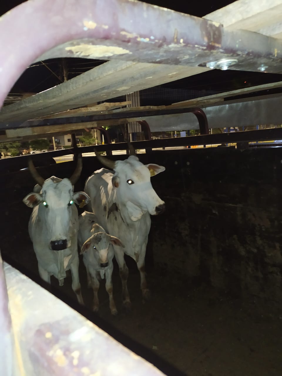 WhatsApp Image 2023-05-26 at 13.35.43