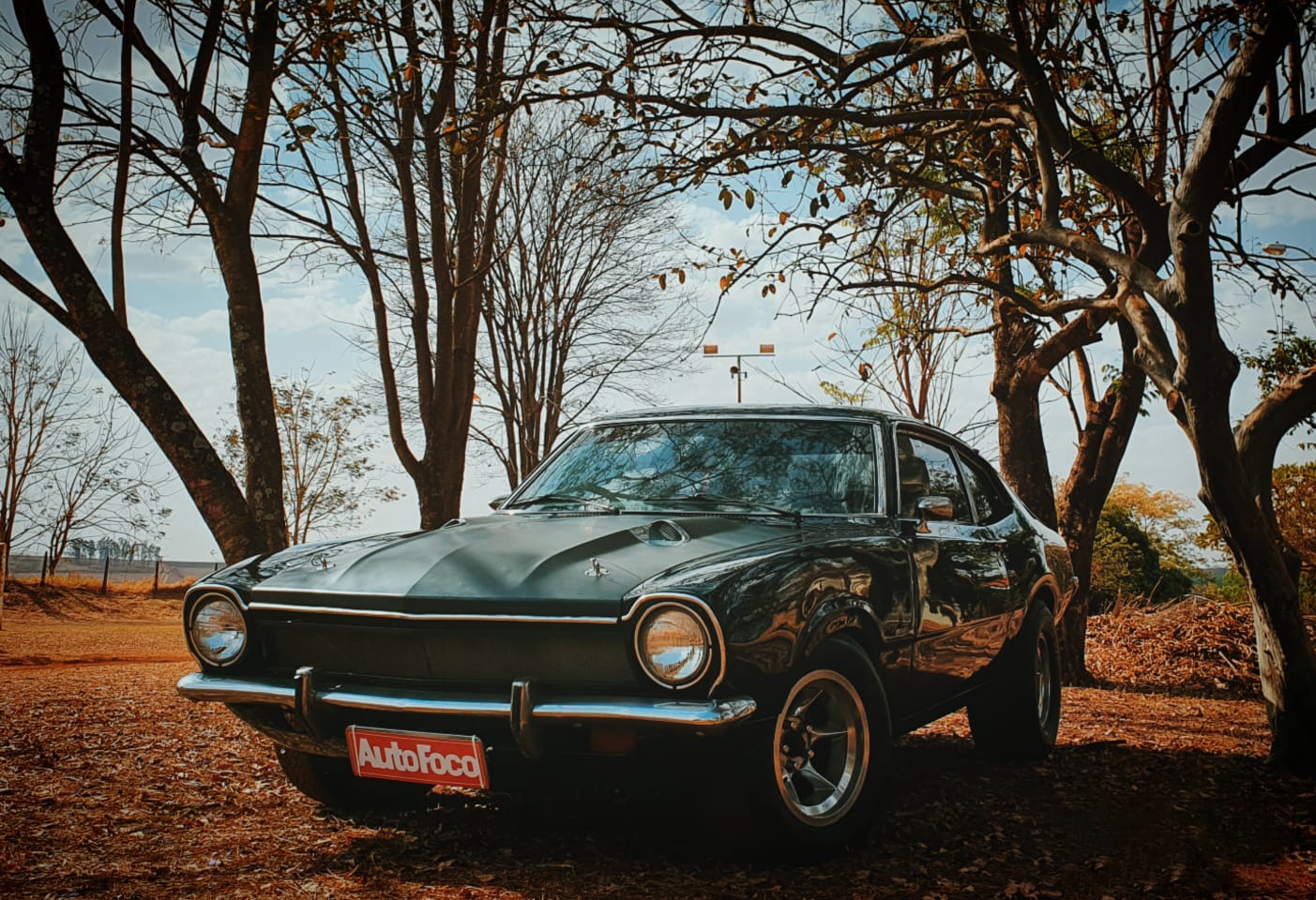 WhatsApp-Image-2023-05-29-at-15.20.16