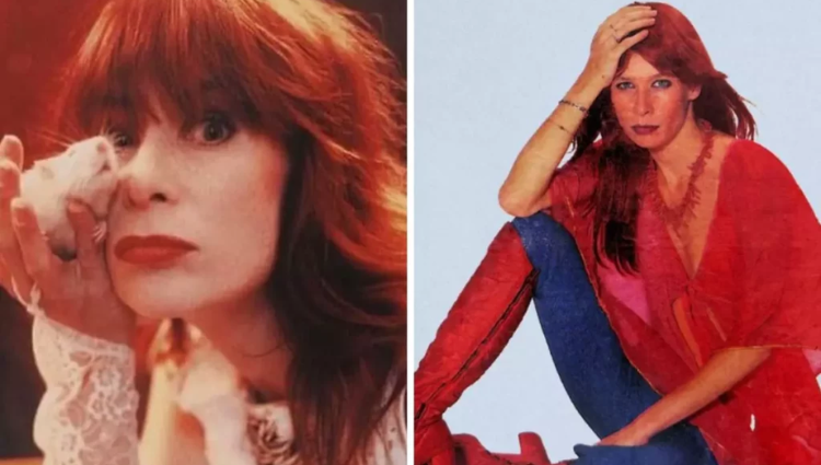 Análise da música “Ovelha Negra”, de Rita Lee