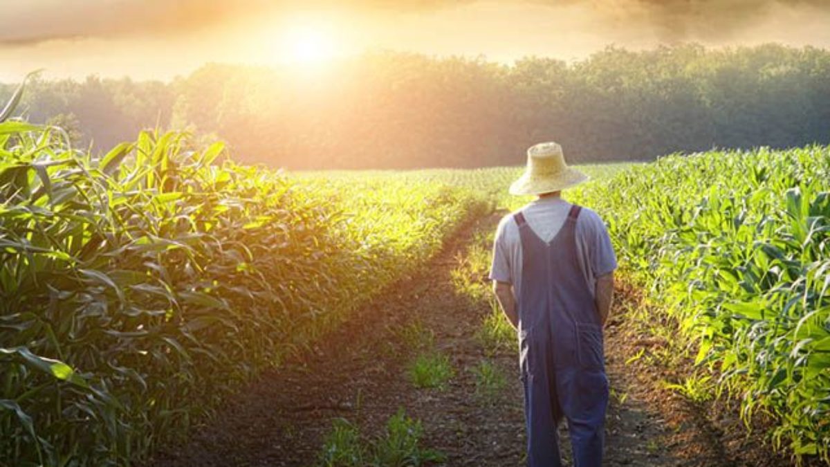 Reforma Agrária Reforma Agrária