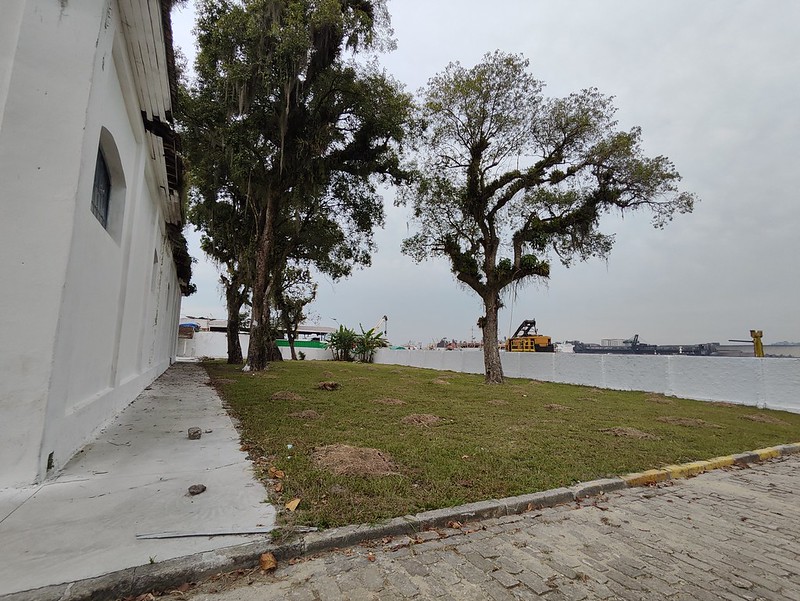 52918517475_81064634dc_c