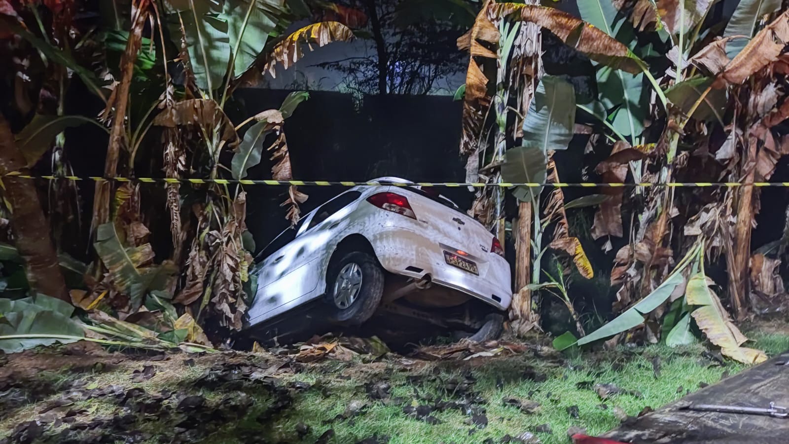 A2F097CD-CE80-445F-B920-100FD80BA1B4