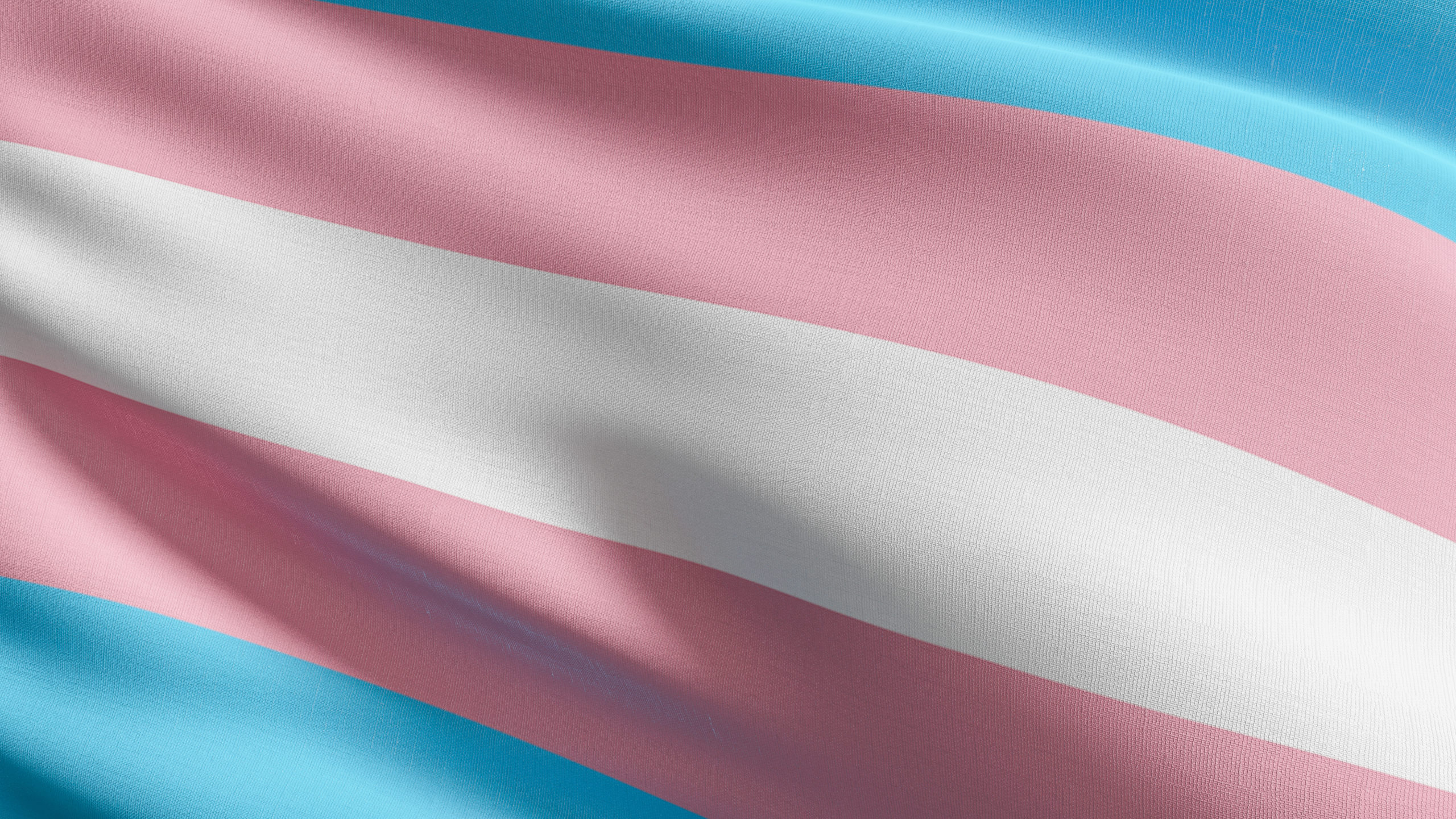 Transgender flag. Community, LGBT worldwide which have adopted the Rainbow flag, the various transgender individuals, organizations around the world. 3d illustration.