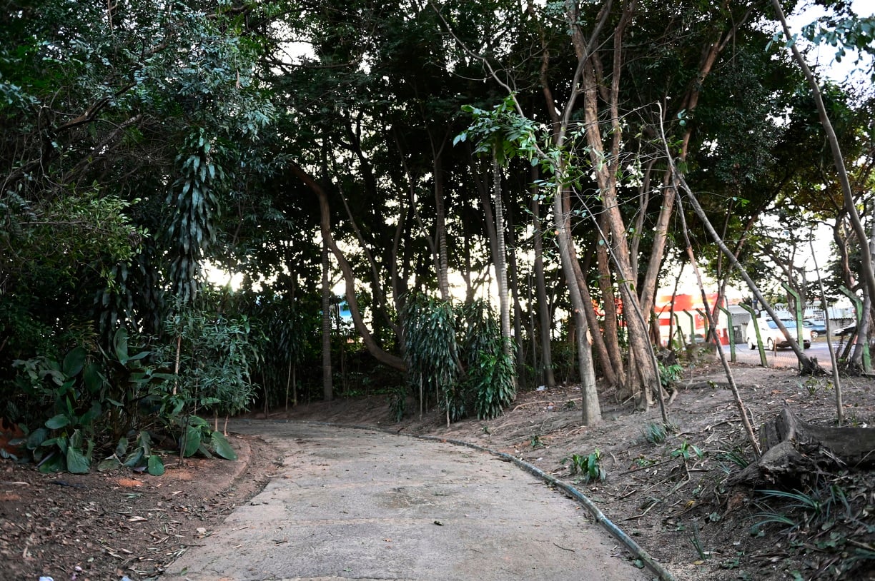 Prefeitura reabre Bosque do DIC 1, distrito do Ouro Verde, neste sábado Prefeitura reabre Bosque do DIC 1, distrito do Ouro Verde, neste sábado
