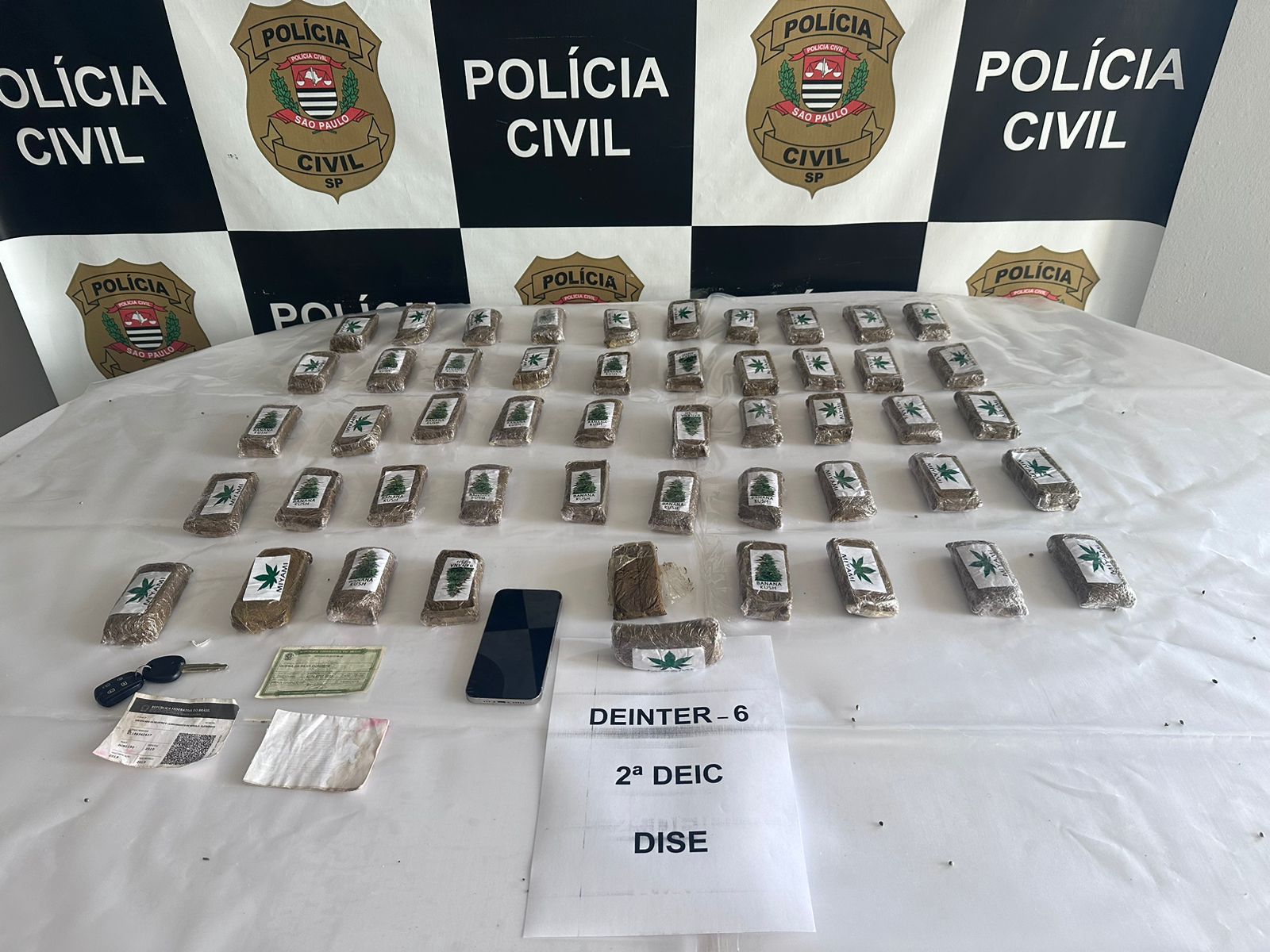 Mulher é presa com grande quantidade de drogas