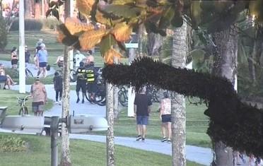 Prisão de homem suspeito de tráfico