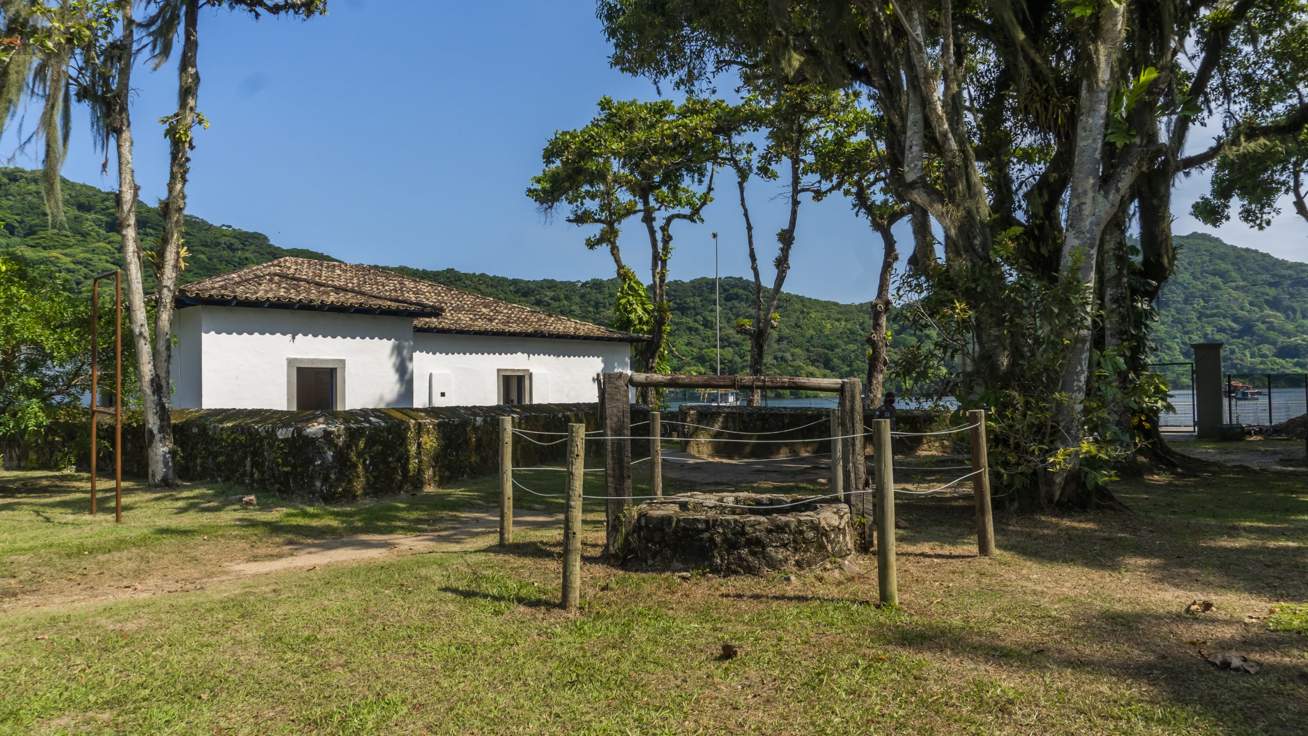 51929396717_8828e291d0_o