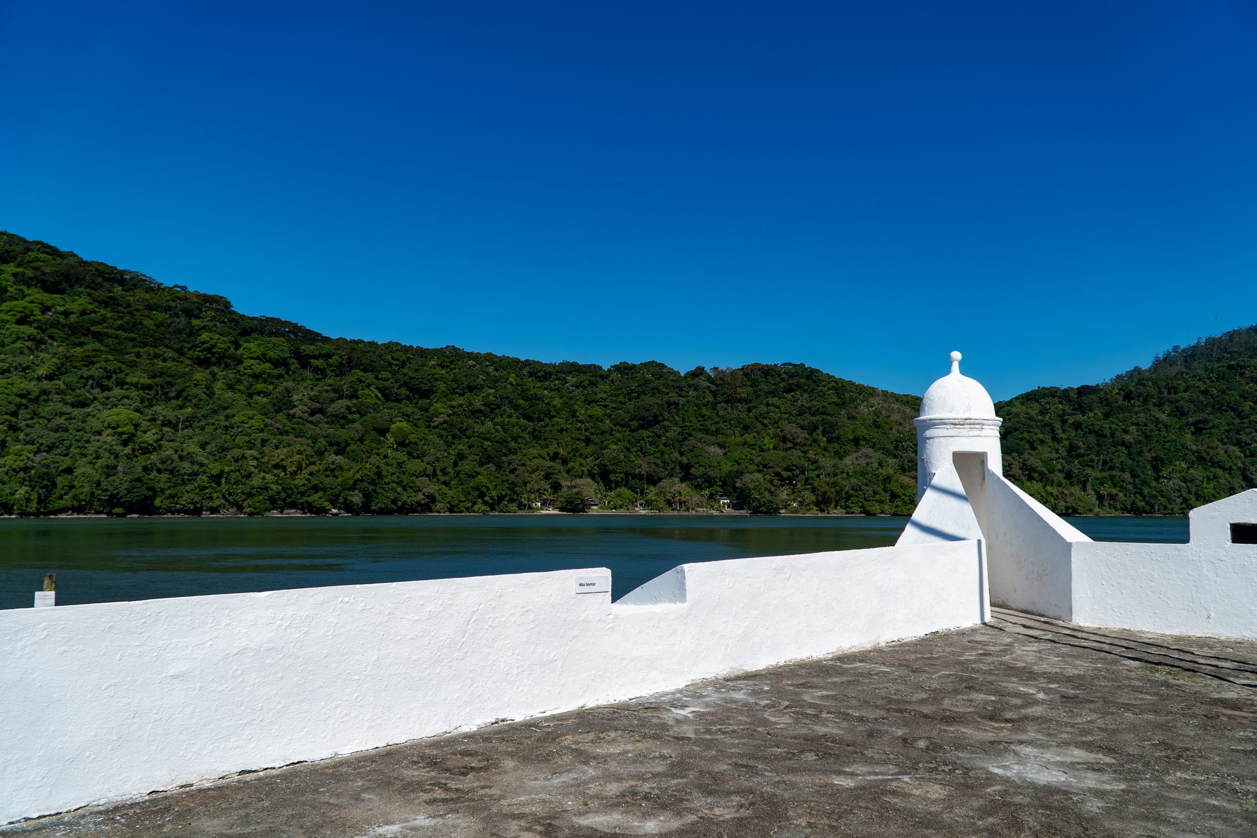 53005905793_f7c261497a_o