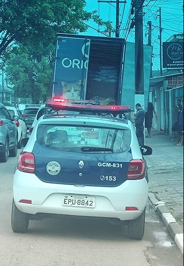 53040916617_e2eb71c6f9_c