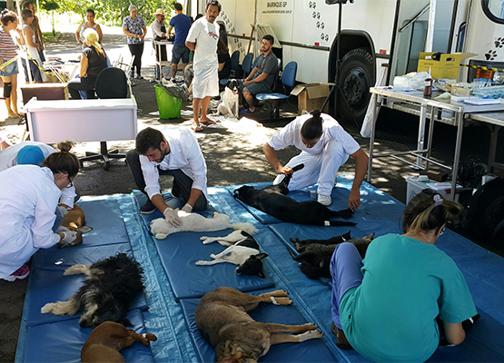 Castramóvel abre agendamento com mil vagas para região do Padre Anchieta