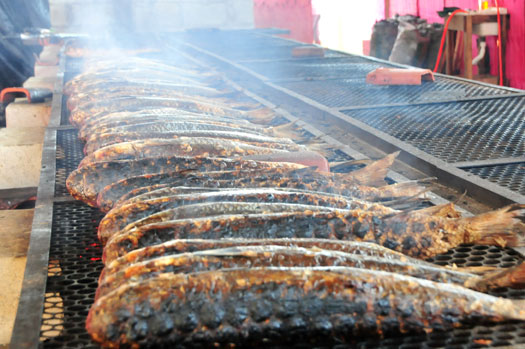 Foto - 24ª Festa da Tainha é atração do final de semana em Praia Grande